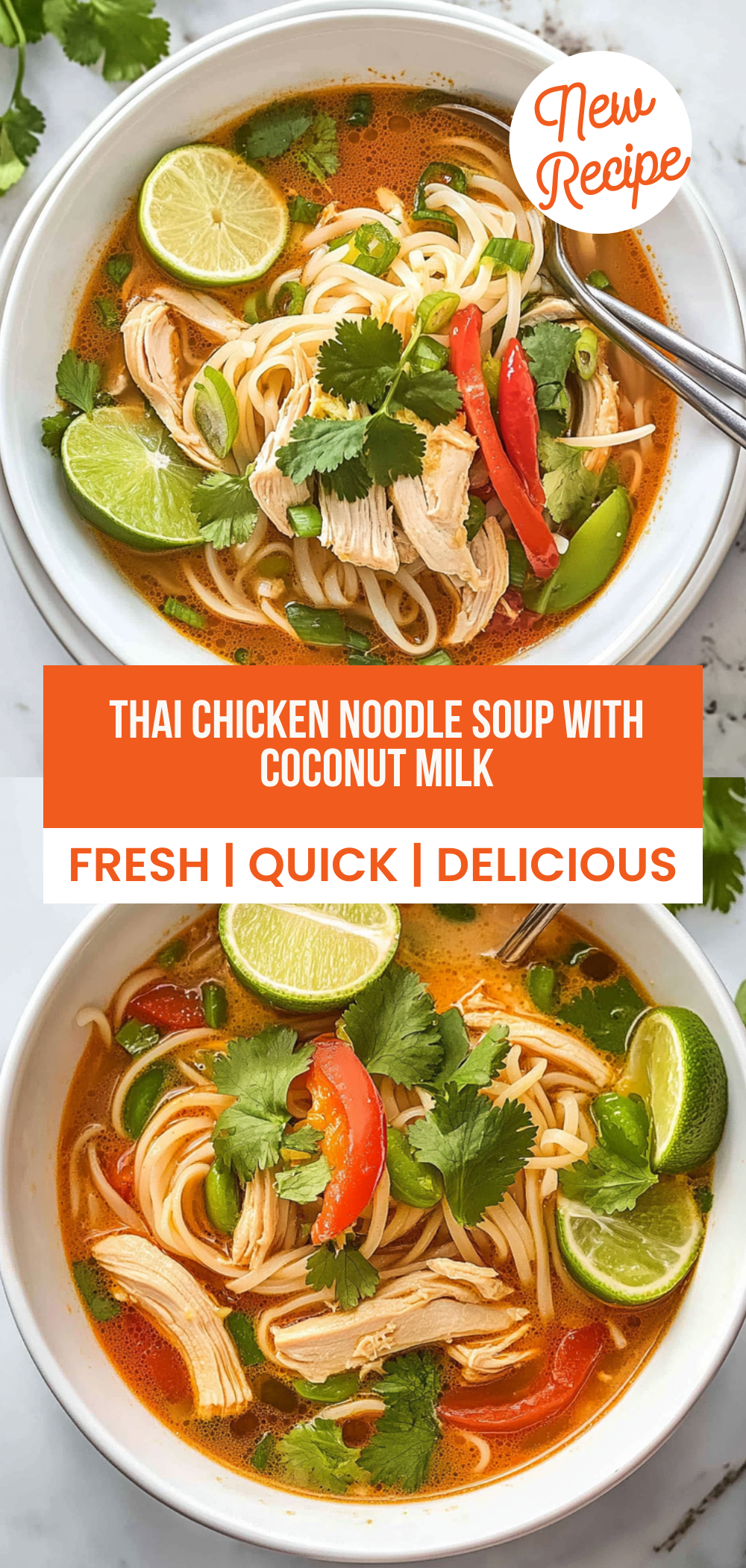 Thai Chicken Noodle Soup